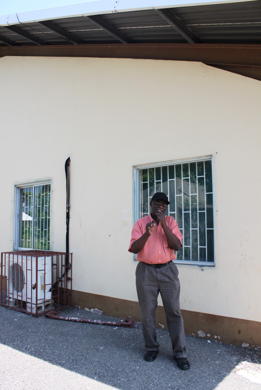 The Monkey Tambourine Tree Heather Augustyn